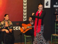 /album/fotogaleria/a10013535-266377043535897-1248221264-n-jpg/